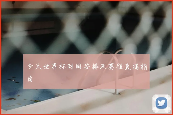 今天世界杯时间安排及赛程直播指南