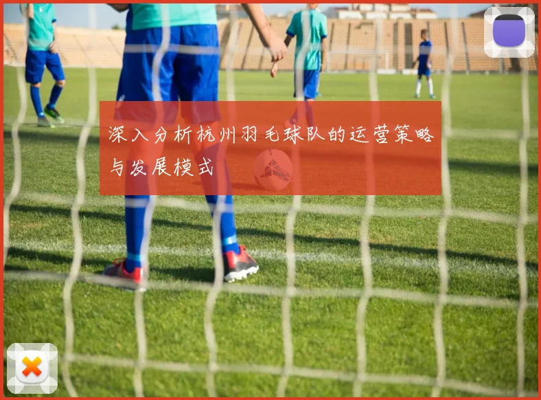 深入分析杭州羽毛球队的运营策略与发展模式