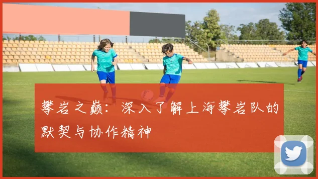 攀岩之巅:深入了解上海攀岩队的默契与协作精神
