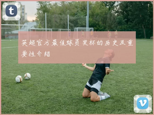 英超官方最佳球员奖杯的历史及重要性介绍