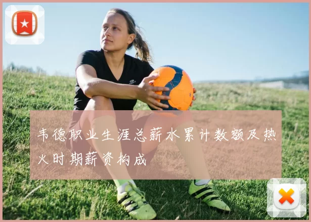 韦德职业生涯总薪水累计数额及热火时期薪资构成