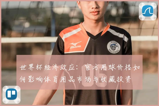 世界杯经济效应:官方用球价格如何影响体育用品市场与收藏投资