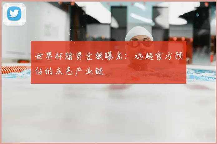 世界杯赌资金额曝光:远超官方预估的灰色产业链