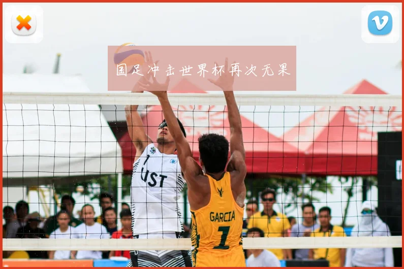 国足冲击世界杯再次无果