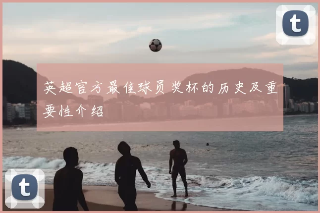 英超官方最佳球员奖杯的历史及重要性介绍