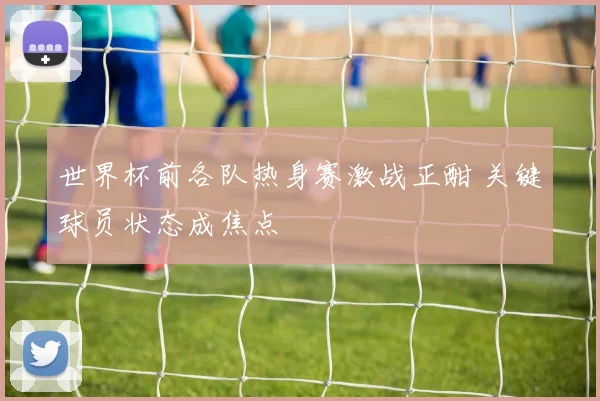 世界杯前各队热身赛激战正酣 关键球员状态成焦点