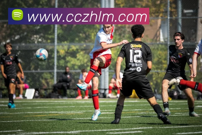 kaiyun全站App kaiyun全站App